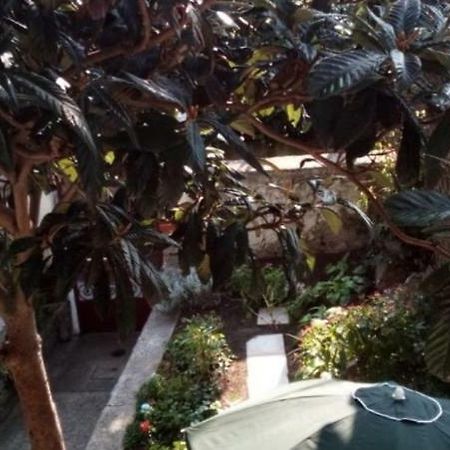 Casa Vacanze Poison Trieste Ngoại thất bức ảnh
