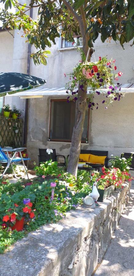Casa Vacanze Poison Trieste Ngoại thất bức ảnh