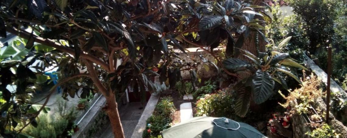 Casa Vacanze Poison Trieste Ngoại thất bức ảnh