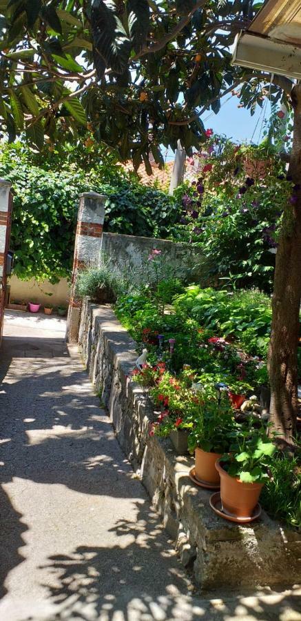 Casa Vacanze Poison Trieste Ngoại thất bức ảnh